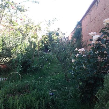 Auberge Toda Aït Igad Zewnętrze zdjęcie
