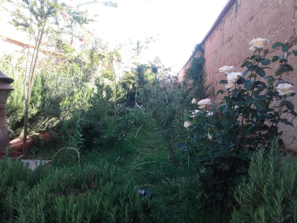 Auberge Toda Aït Igad Zewnętrze zdjęcie